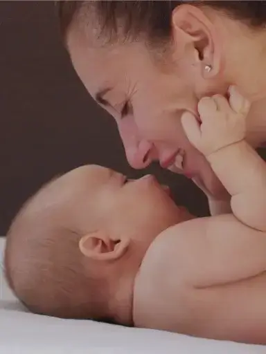 Shelley & Schulte Contracts