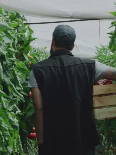 Older woman looking depressed